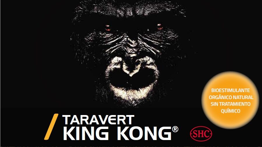 TARAVERT KING KONG TaraZONA|TARAVERT KING KONG|TARAVERT KING KONG|jornada poscosecha citricos